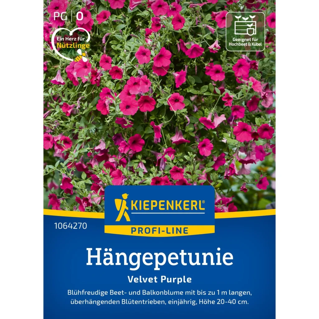 Kiepenkerl Hängepetuniensamen Velvet Purple, robuste blühende Pflanzen, ideal für hängende Körbe und Balkonkästen, gesunde, leuchtende Farben.