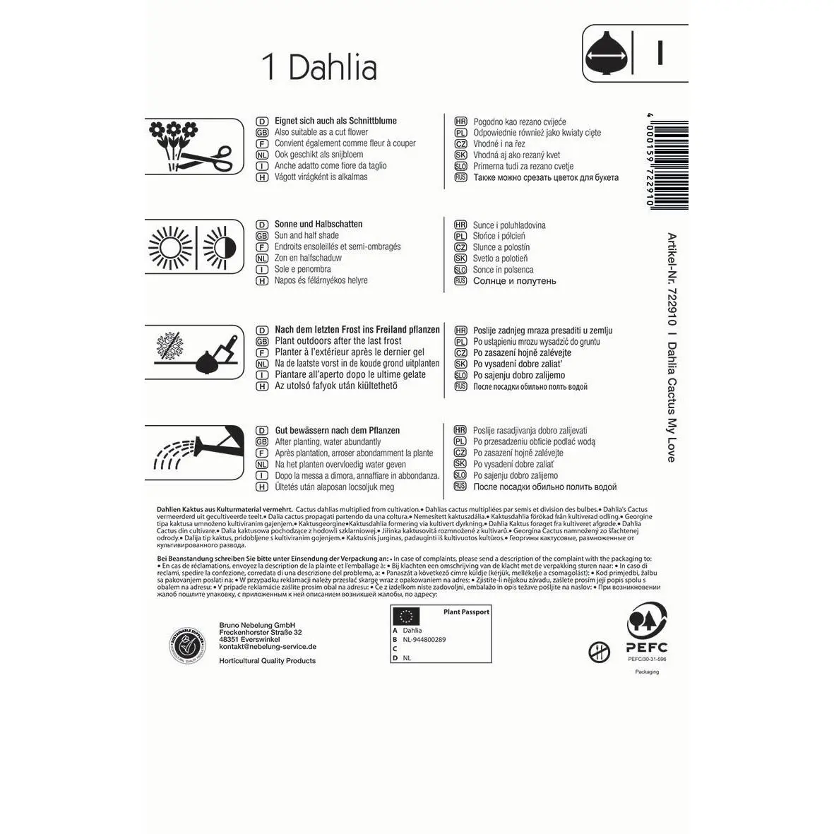 Kaktus-Dahlie My Love 2 Kiepenkerl Kaktus-Dahlie 'My Love', leuchtend rosa Blüten, ideal für Gartenbeete und Kübelpflanzen, pflegeleicht und hitzeverträglich.