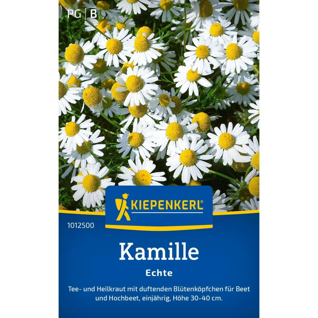 Kiepenkerl Kamille Echte Samen zur Förderung von Gesundheit und Wohlbefinden, ideal für Teezubereitungen und natürliche Heilmittel.