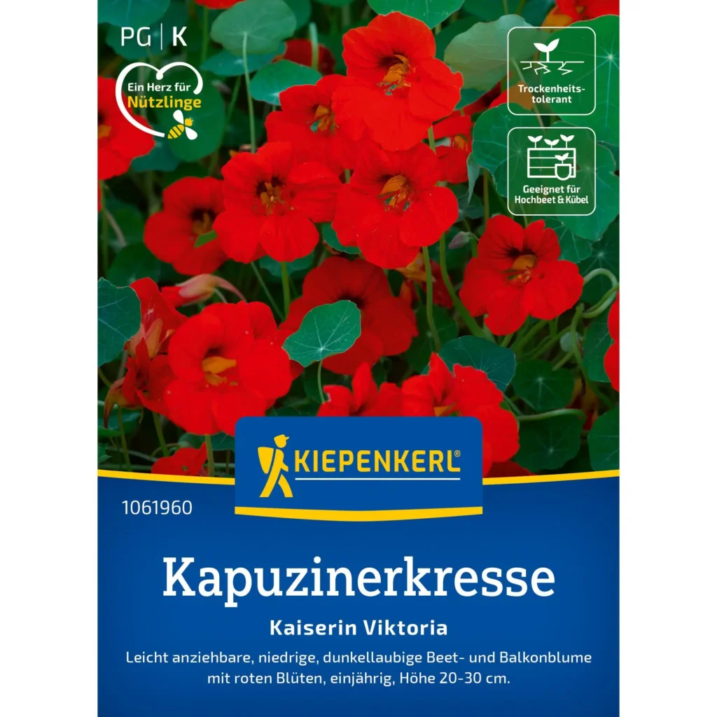 Kiepenkerl-Kapuzinerkresse Kaiserin Viktoria, farbenfroh und essbar, ideal für Garten und Balkon, blüht reichlich und zieht Nützlinge an.