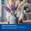 Kiepenkerl Kapuzinerkresse Tip-Top-Mischung, vielseitig einsetzbare Samen für bunte Blüten und gesunde Küchenkräuter, ideal für Balkon und Garten.