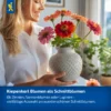Kiepenkerl-Kapuzinerkresse-Tip-Top-Mischung, bunte, essbare Blüten für üppige Balkon- und Gartenbepflanzung, ideal für gesundes Gartendesign.