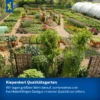 Kiepenkerl Kapuzinerkresse Tip-Top-Mischung für bunte Gartenbeete, 7 verschiedene Sorten, ideal für Balkon und Garten.