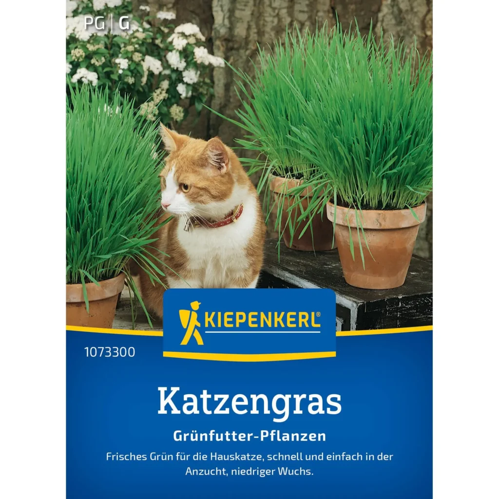Kiepenkerl Katzengrassamen-Mischung für frisches, gesundes Katzengras, ideal für die Innenzucht, 250 g.