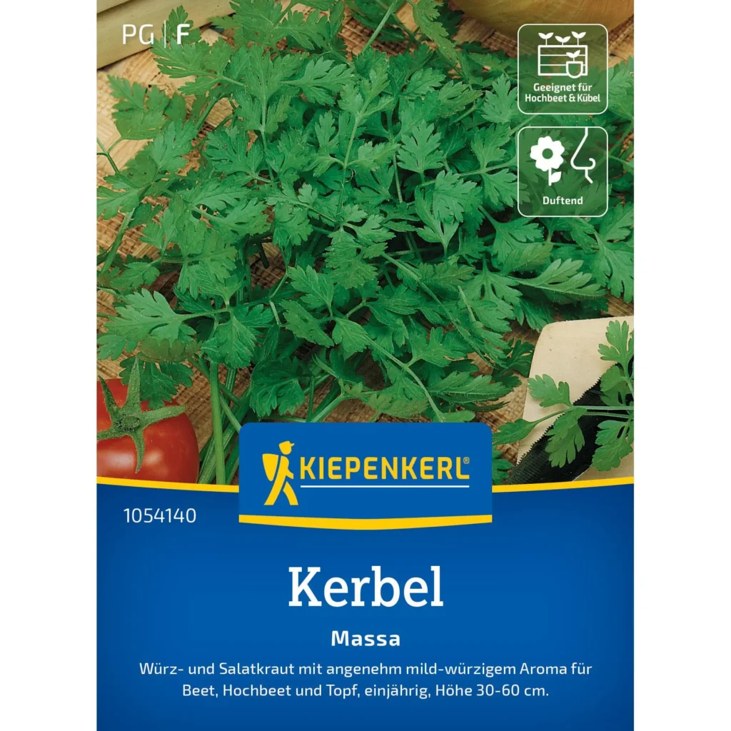 Kiepenkerl Kerbelsamen Massa, hochwertiger Samen für aromatische Kräuter, ideal für Balkon und Garten, 1 Portion für reichhaltige Ernte.