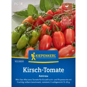 Kirsch-Tomatensamen Amirou