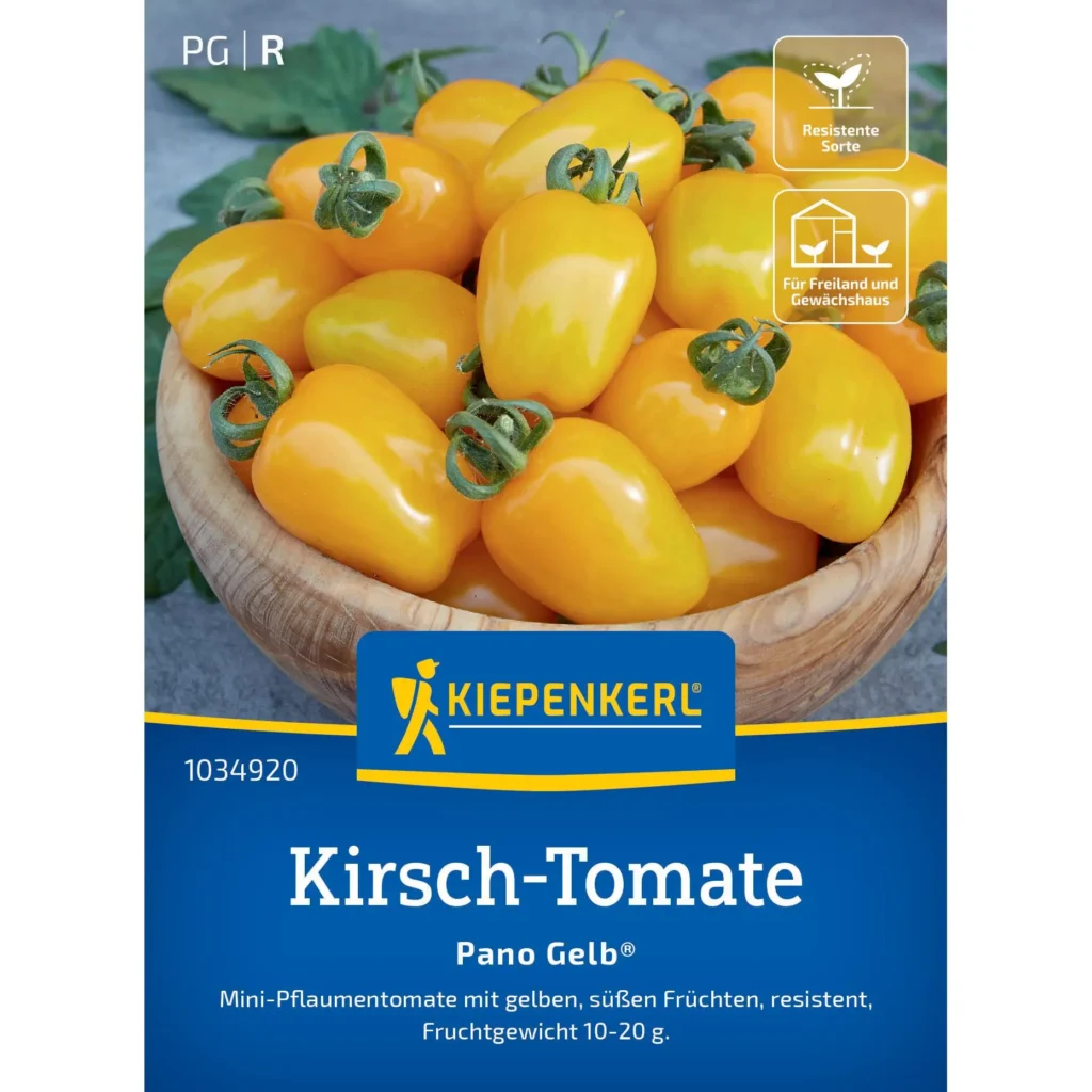Kiepenkerl Kirsch-Tomate Pano Gelb® F1, süßliche, aromatische Cocktailtomaten, perfekt für Balkon und Garten, robust und ertragreich.