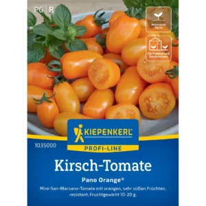 Kirsch-Tomatensamen Pano Orange®