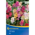 Klebschwertel Mischung