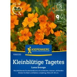 Kleinblütige Tagetessamen Luna Orange