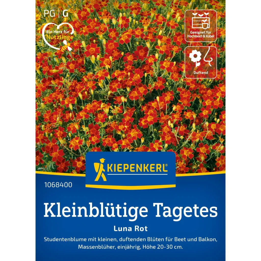 Kiepenkerl Kleinblütige Tagetes Luna Rot, leuchtend rote Blüten, ideal für Balkonkästen und Garten, fördert schädlingabwehrende Eigenschaften.