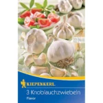 Knoblauch Flavor