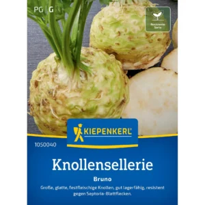 Knollenselleriesamen Bruno