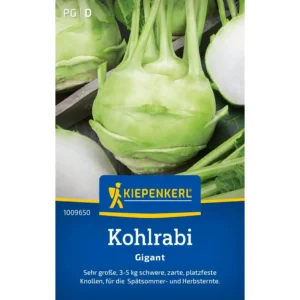 Kohlrabisamen Gigant