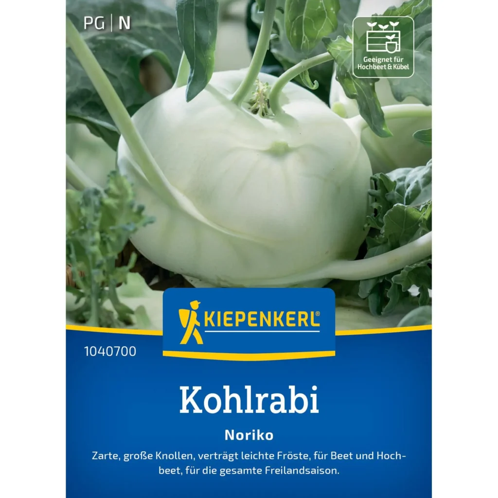 Kiepenkerl-Kohlrabi Noriko, 100 Samen, besonders frühreif und knackig, ideal für reichhaltige Ernte im Garten.