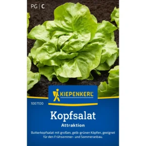 Kopfsalatsamen Attraktion
