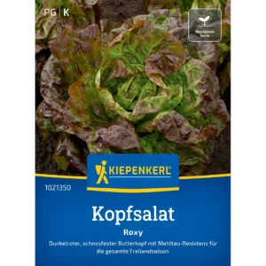 Kopfsalatsamen Roxy