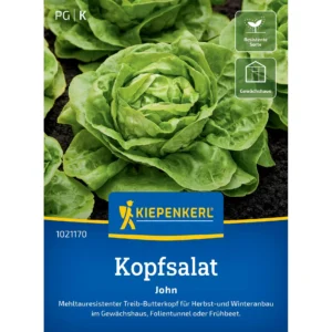Kopfsalatsamen John