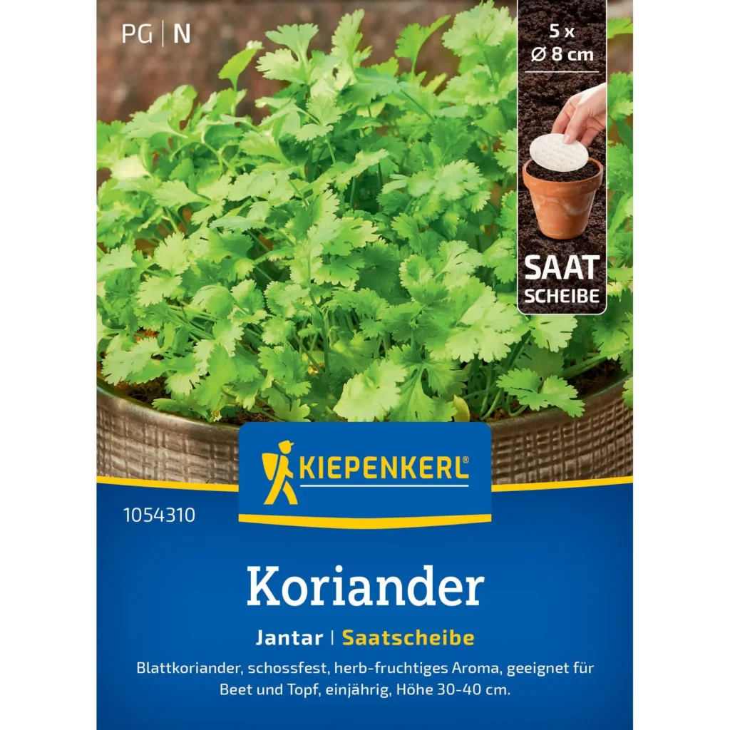 Kiepenkerl Koriander Jantar Saatscheibe, einfach zu säen, ideal für frische mediterrane Gerichte, 5 Stück für aromatische Kräuter.