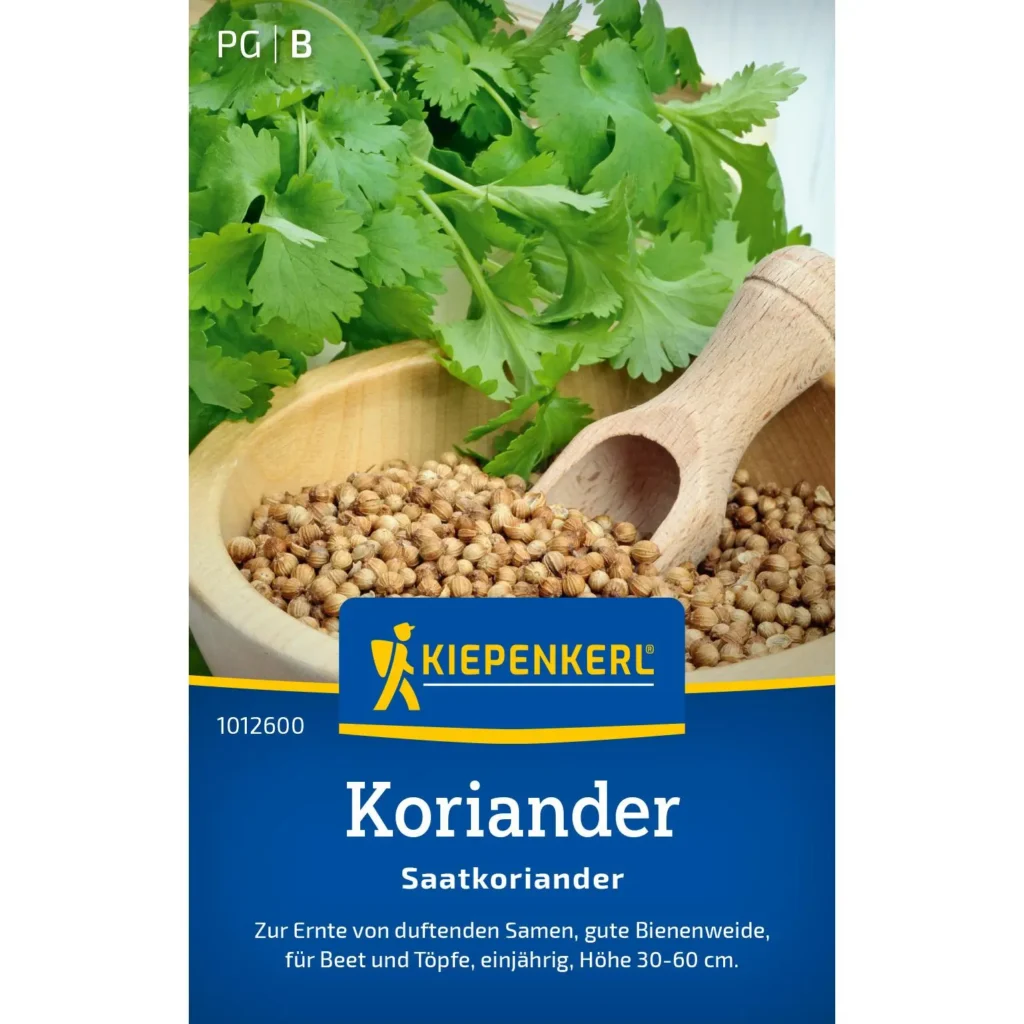 Kiepenkerl Koriandersaat, 500 g, ideal für frische Kräuter in der Küche, aromatisch und vielseitig einsetzbar.