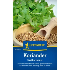 Koriandersamen Saatkoriander
