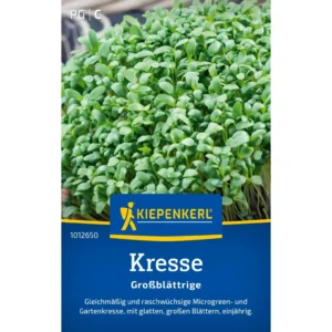 Kressesamen Großblättrige