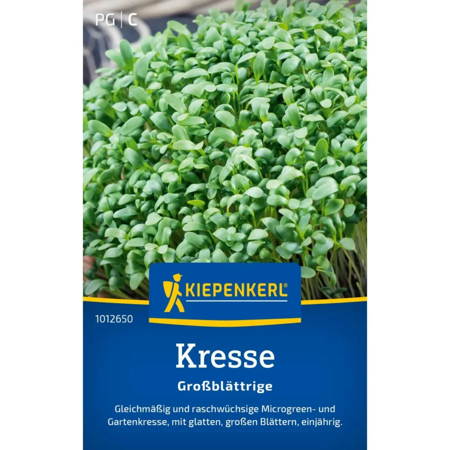 Kiepenkerl Kresse Glatte großblättrige Samen, ideal für frische Salate und gesunde Gerichte, 50 g, reich an Vitaminen und Kräutergenuss.