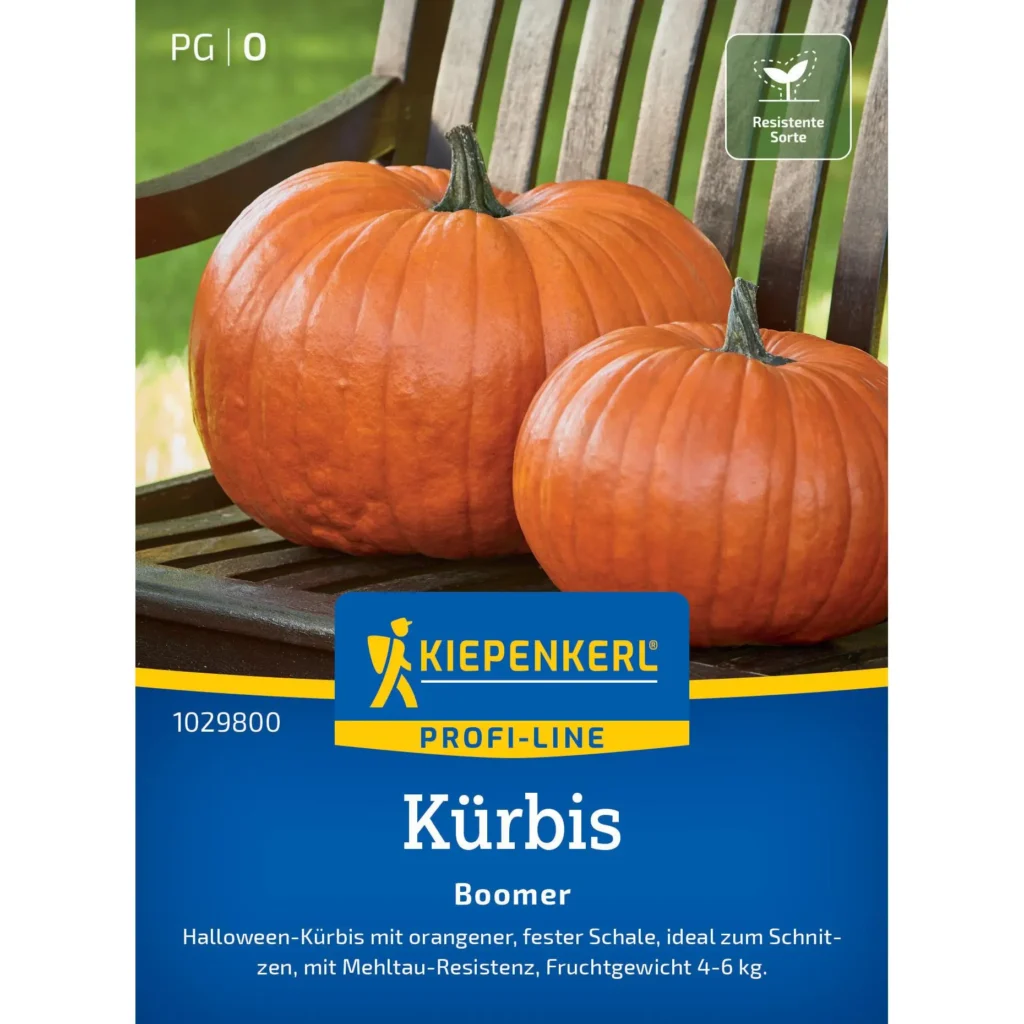 Kiepenkerl Kürbis Boomer F1, aromatische, ertragreiche Sorte, ideal für den Anbau im eigenen Garten, bis zu 10 kg pro Frucht.