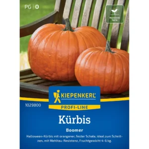 Kürbissamen Boomer