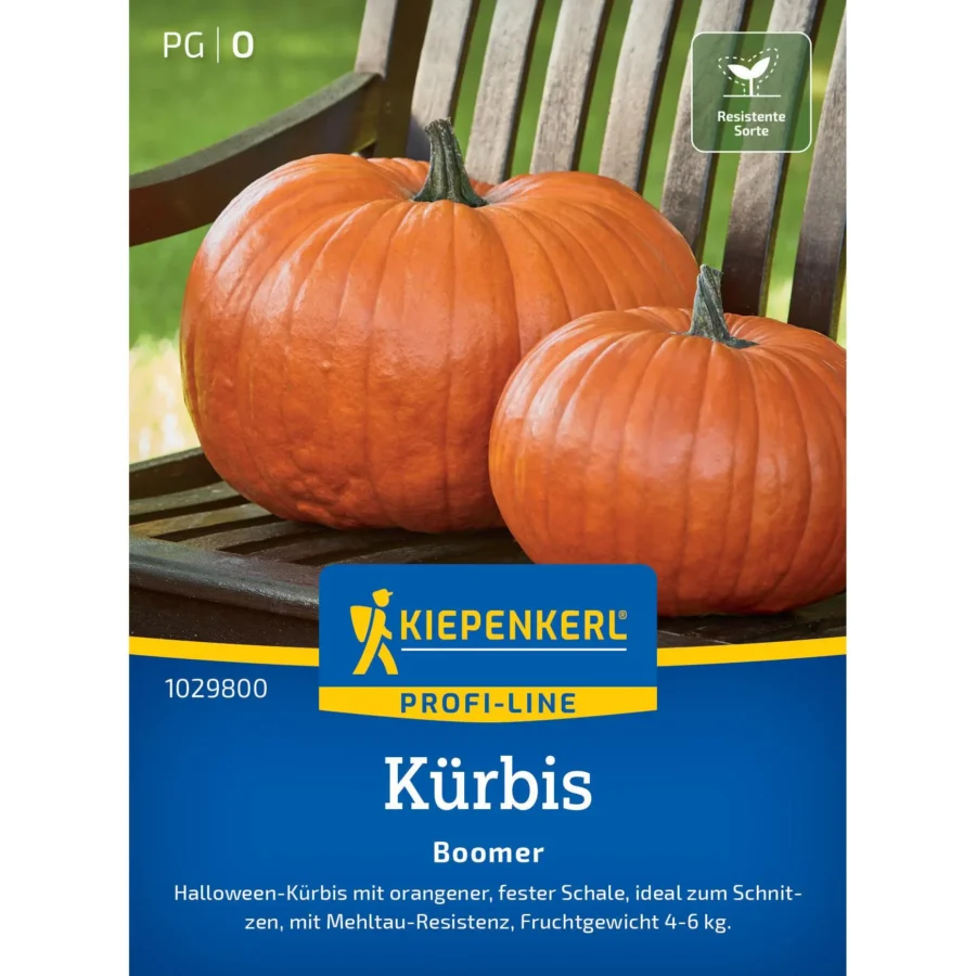 Kiepenkerl Kürbis Boomer F1, aromatische, ertragreiche Sorte, ideal für den Anbau im eigenen Garten, bis zu 10 kg pro Frucht.