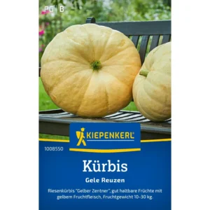 Kürbissamen Gele Reuzen