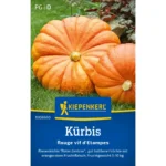 Kürbissamen Roter Zentner
