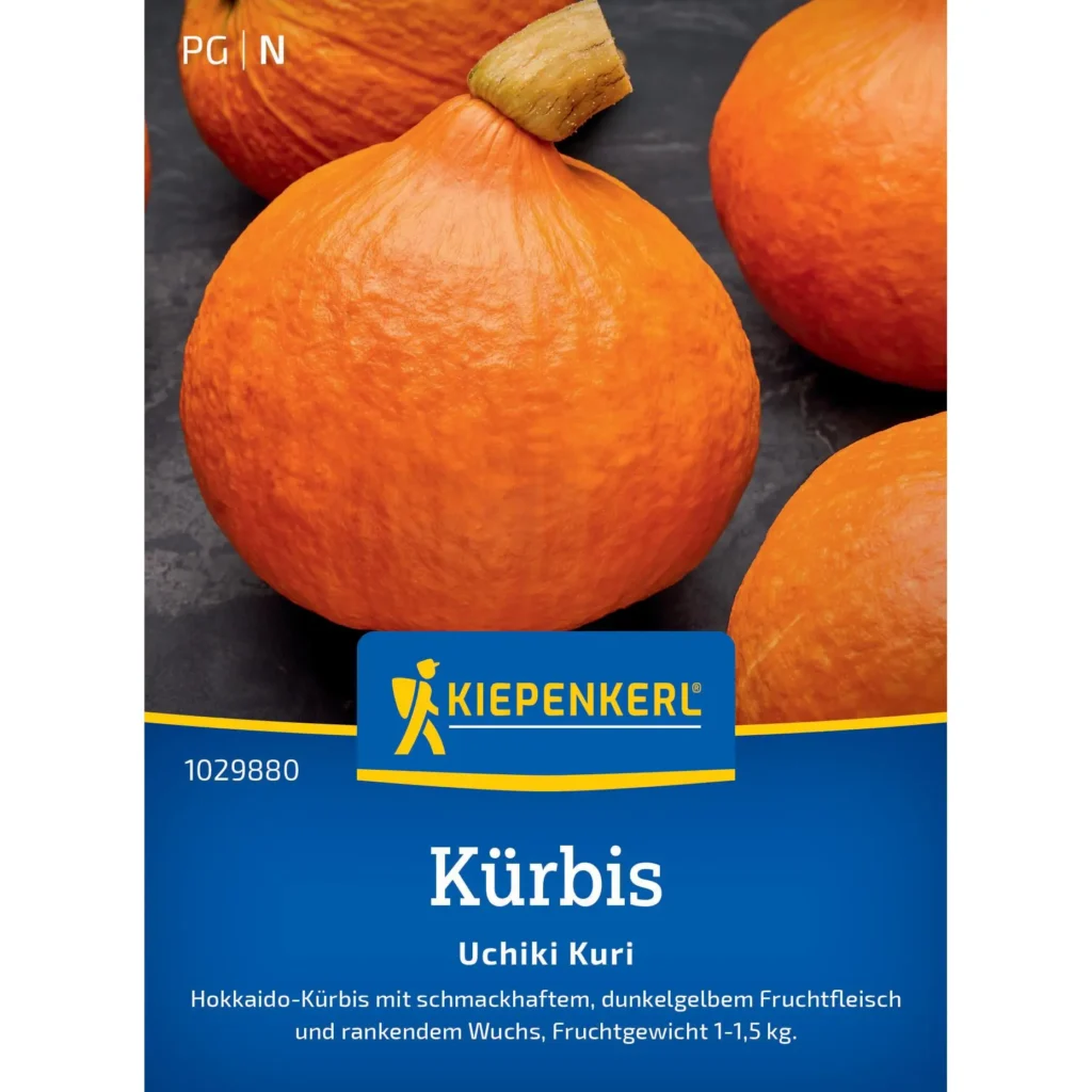 Kiepenkerl Kürbis Uchiki Kuri, aromatische, festfleischige Früchte, ideal für herbstliche Gerichte, circa 1-2 kg.