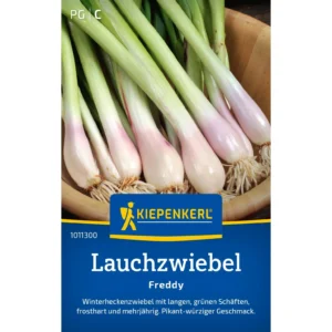 Lauchzwiebelsamen Freddy