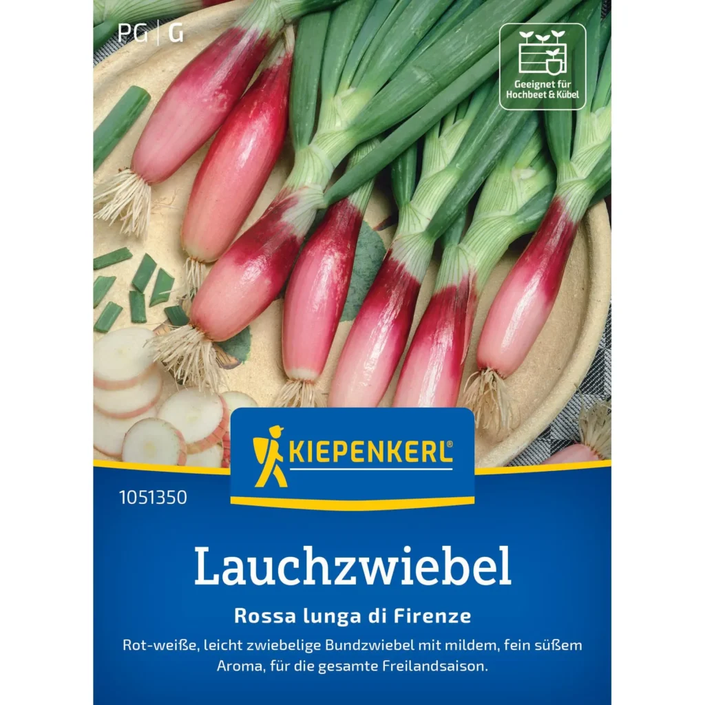 Kiepenkerl Lauchzwiebel 'Rossa lunga di Firenze', aromatisch und kräftig im Geschmack, ideal für frische Salate und asiatische Gerichte, 1 Portion.