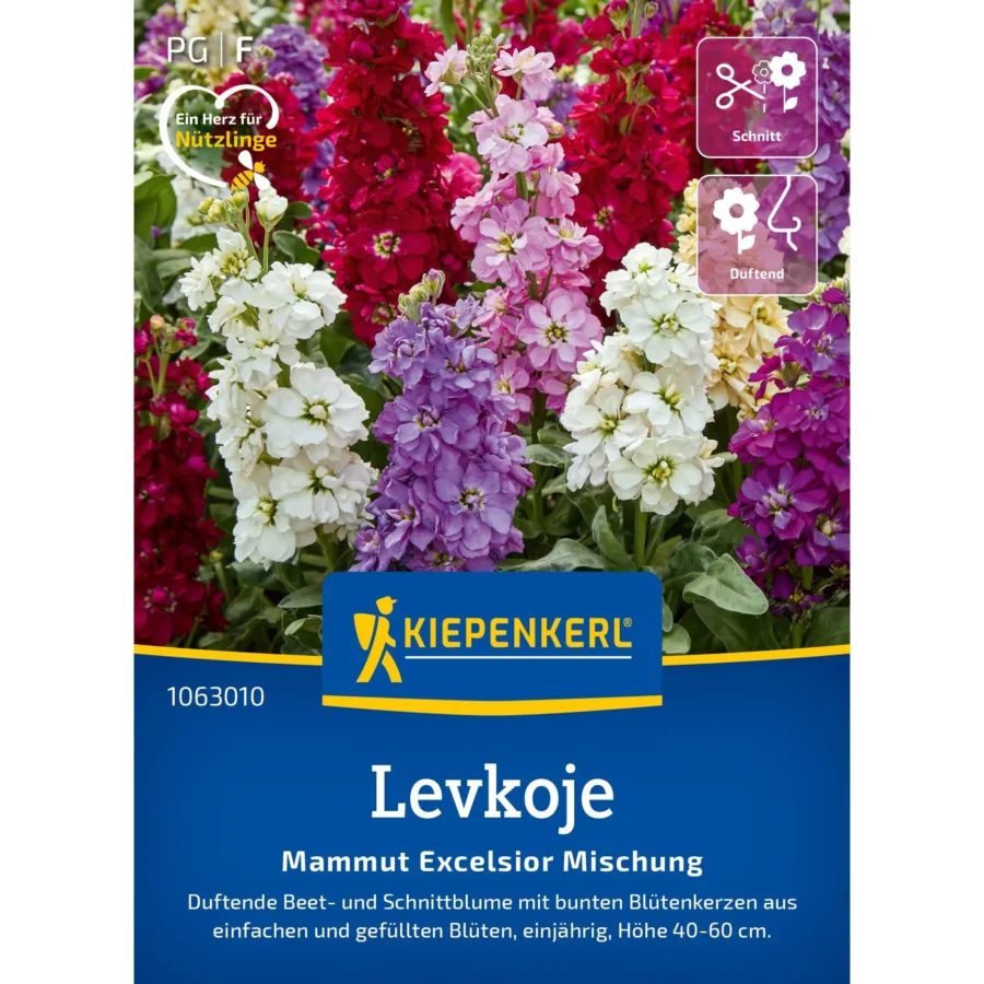 Kiepenkerl Levkojensamen Mammut Excelsior Mischung, hohe Blühkraft, ideal für bunte Gartenbeete, 1 g Saatgut.