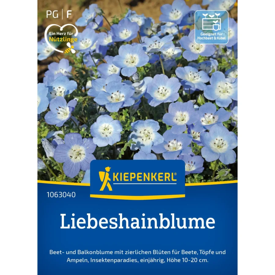 Kiepenkerl Liebeshainblumensamen Blaue Nemophila, ideal für blühende Gartenakzente, mehrjährig, frostbeständig und pflegeleicht.