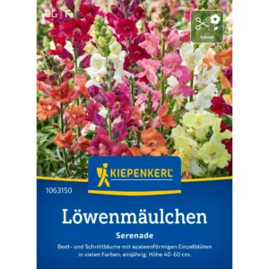 Löwenmäulchensamen Serenade