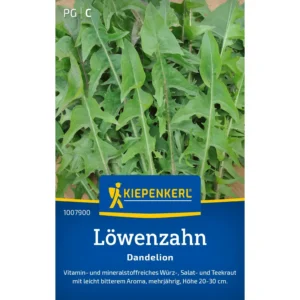 Löwenzahnsamen Dandelion