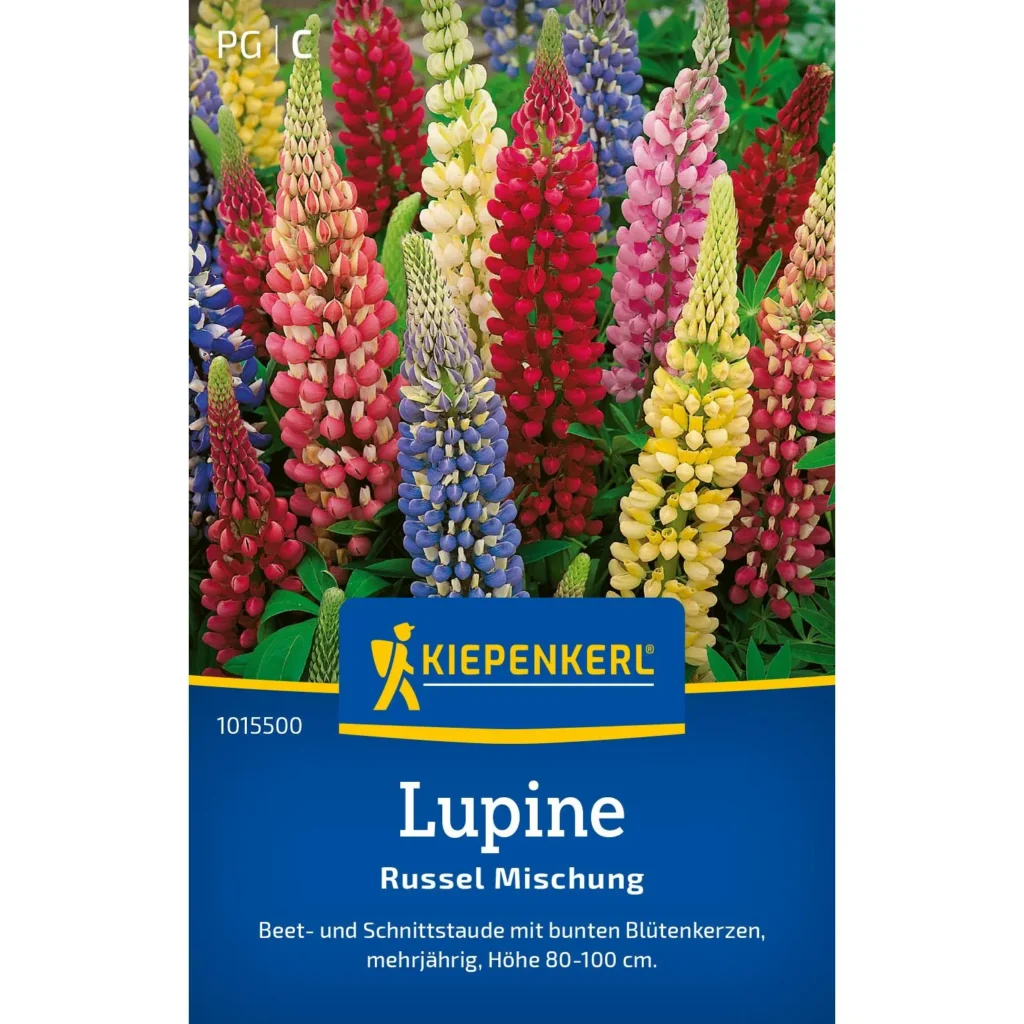 Kiepenkerl Lupine Russel Mischung, buntblühende, mehrjährige Pflanze, ideal für naturnahe Gärten, 20-30 cm hoch.