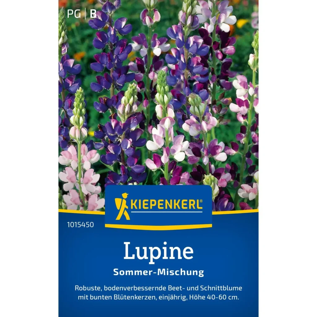 Kiepenkerl Lupine Sommer Mischung, farbenfrohe Blumenvielfalt, ideal für bienenfreundliche Gärten, 30 Gramm.