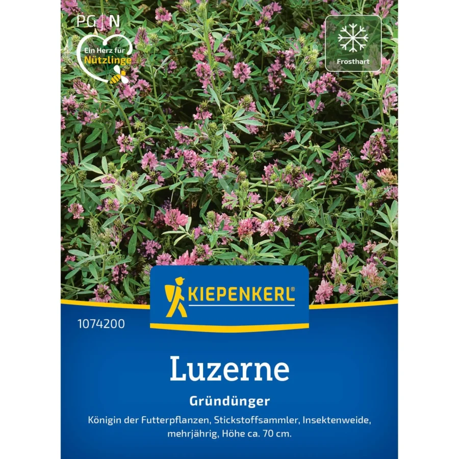 Kiepenkerl Luzernensamen für Alfalfa, 100 g, ideal für gesunde Sprossen und reichhaltige Nährstoffe im eigenen Garten.