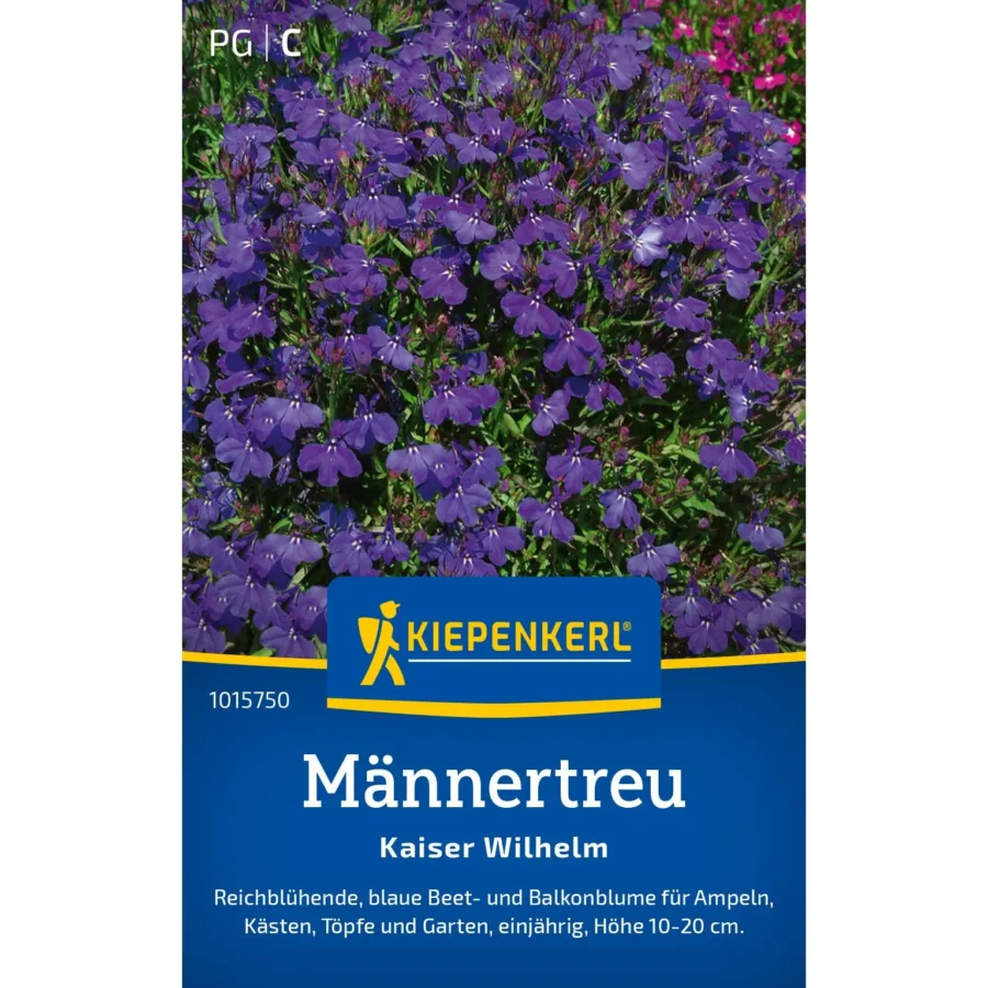 Kiepenkerl Männertreu &apos;Kaiser Wilhelm&apos;, blühende, farbenfrohe Staude, ideal für Balkon- und Gartenpflanzungen, pflegeleicht und robust.