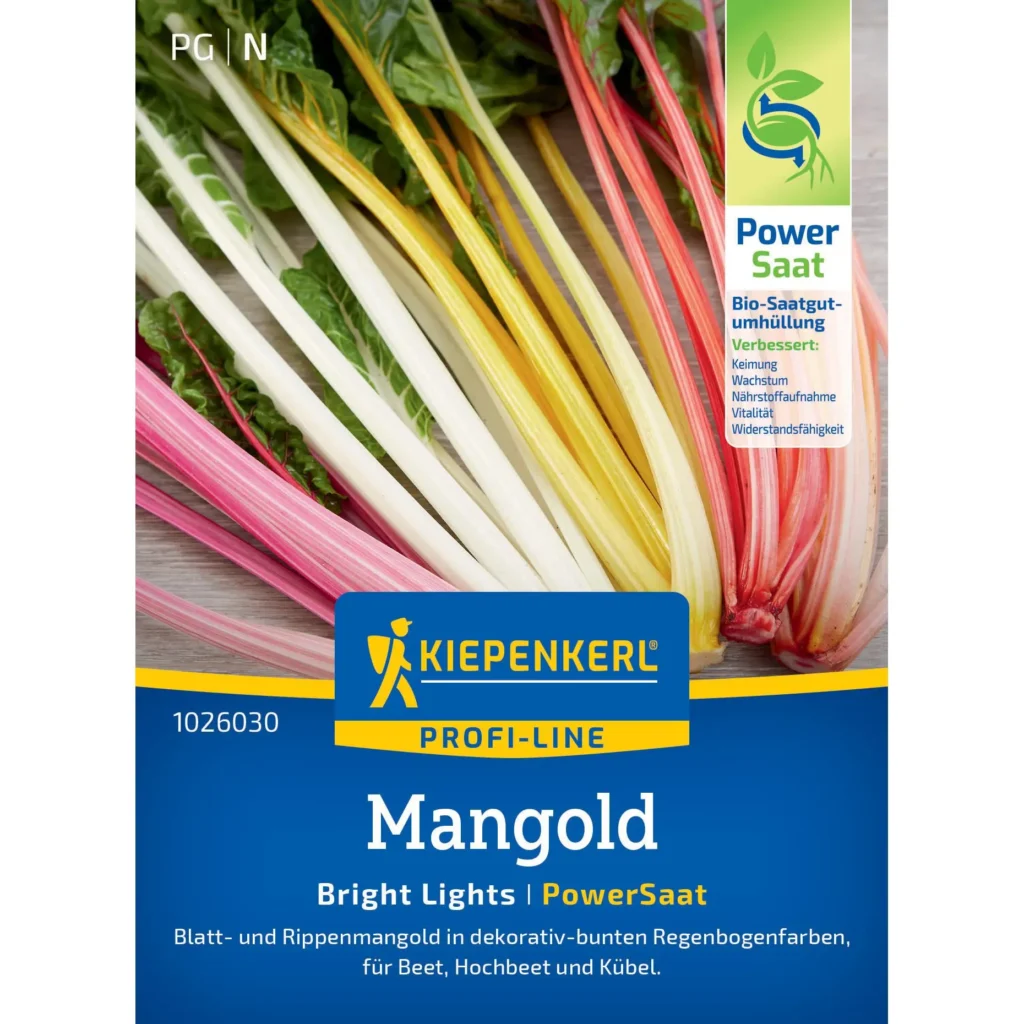 Kiepenkerl-Mangold Bright Lights, bunte und gesunde Gemüsesorte, ideal für den heimischen Garten, reich an Vitaminen.