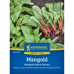 Mangoldsamen Rhubarb Chard/Pluton