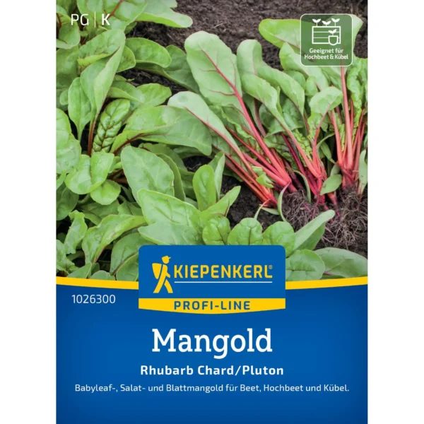 Kiepenkerl Mangold Rhubarb Chard Pluton, robuste Sorte für vitale Grünpflanzen, ideal für den Garten oder Hochbeet.