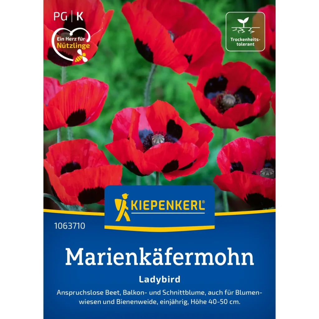 Kiepenkerl Marienkäfermohn, robuste Blütenpflanze mit leuchtend roten Blüten, ideal für bienenfreundliche Gärten, 1 Stück.