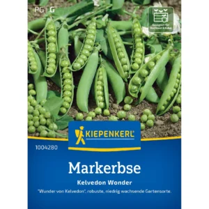 Markerbsensamen Kelvedon Wonder