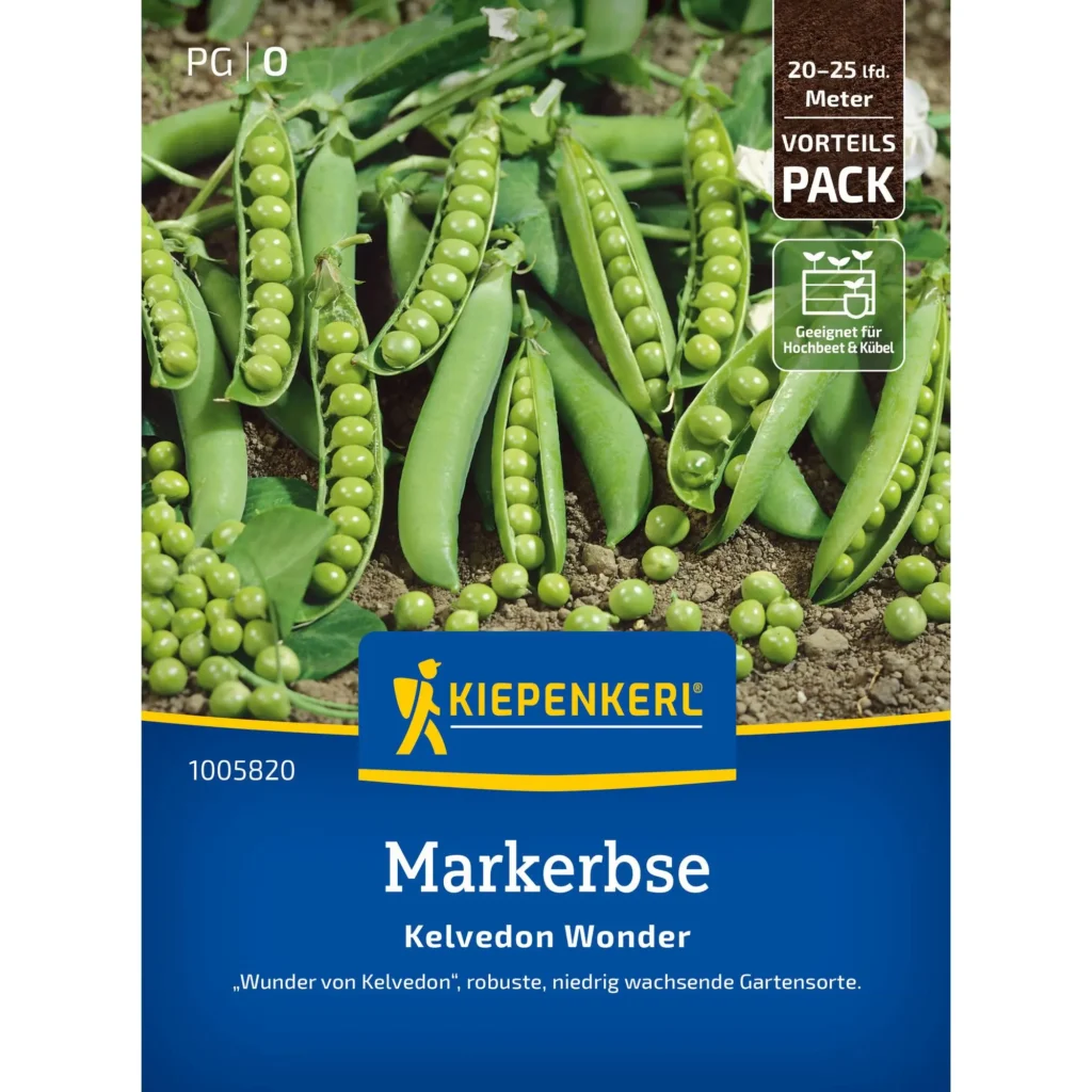 Markerbse Kelvedon Wonder, Vorteilspackung mit 500 Samen, ideal für heimische Gärten, ertragreiche und schmackhafte Ernte.