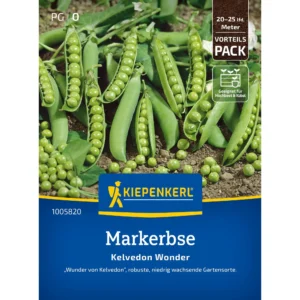 Markerbsensamen Kelvedon Wonder